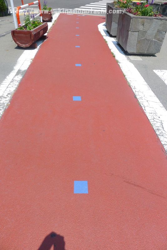 長野県にある上諏訪駅から諏訪湖へ向かう道には青い目印がある